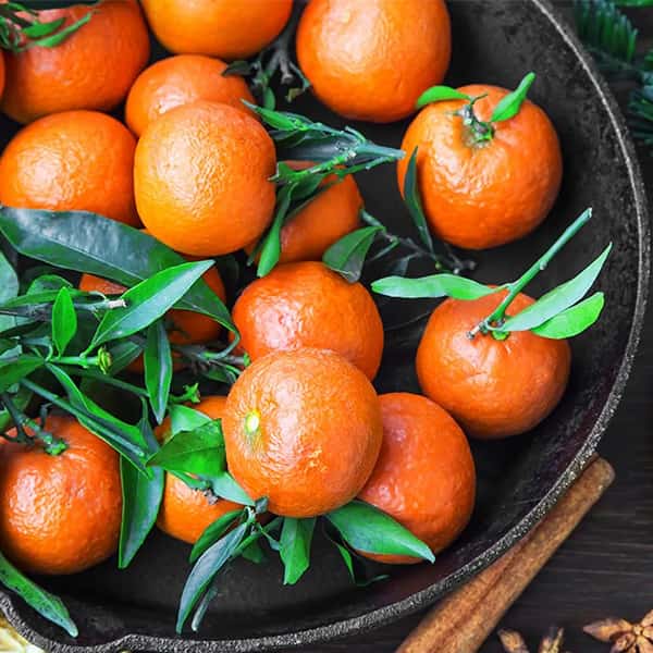 قیمت خرید نارنگی یافا + فروش ویژه